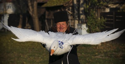 hírkép