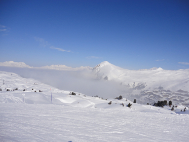 DSC02978.JPG